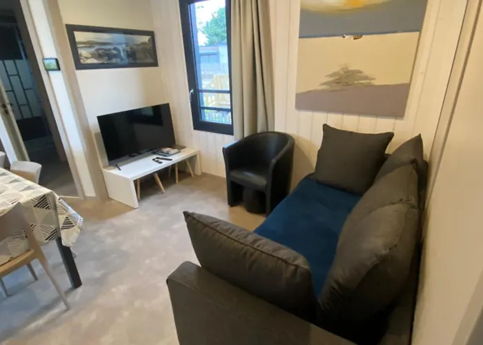 Standing 6 Ou 12 Pers Avec Mon 2 Eme A L'edune De Location Wifi Inclus Piscine Couverte Chauffee A 150m De La